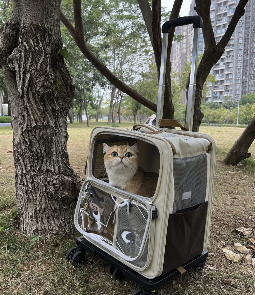 Lunara Roam Cat Carrier with Wheels Ideal for Travel Walking and Camping
